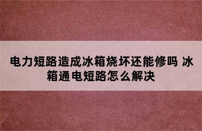 电力短路造成冰箱烧坏还能修吗 冰箱通电短路怎么解决